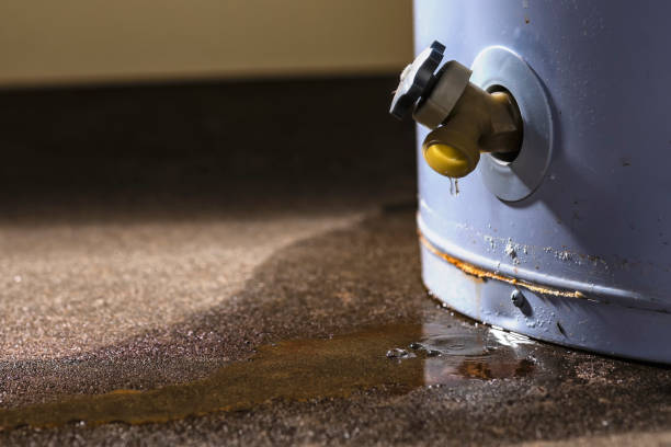 Best Carpet water damage restoration  in Cockeysville, MD