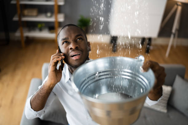 Best Water damage restoration near me  in Cockeysville, MD