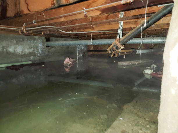 Best 24-hour water damage restoration  in Cockeysville, MD