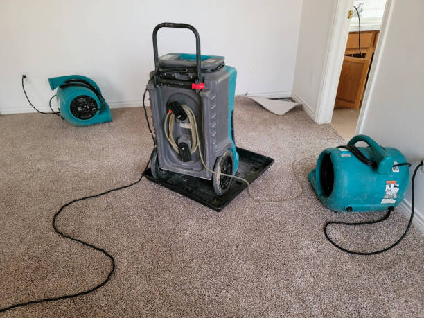 Sewage cleanup and water damage restoration in MD