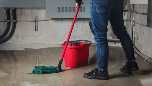Best Flood restoration services  in Cockeysville, MD
