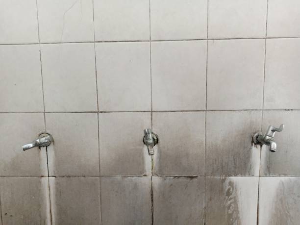Best Basement water damage restoration  in Cockeysville, MD
