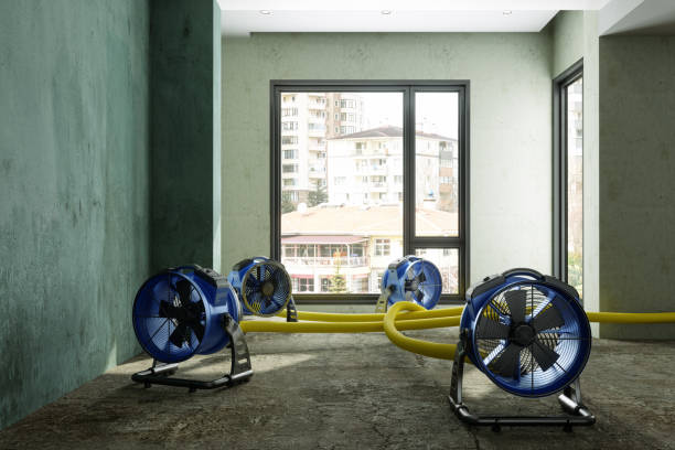 Best Water damage restoration services  in Cockeysville, MD
