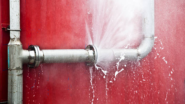 Best Water damage cleanup near me  in Cockeysville, MD